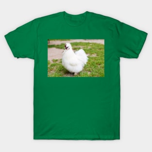 Fancy Chicken Silkie T-Shirt